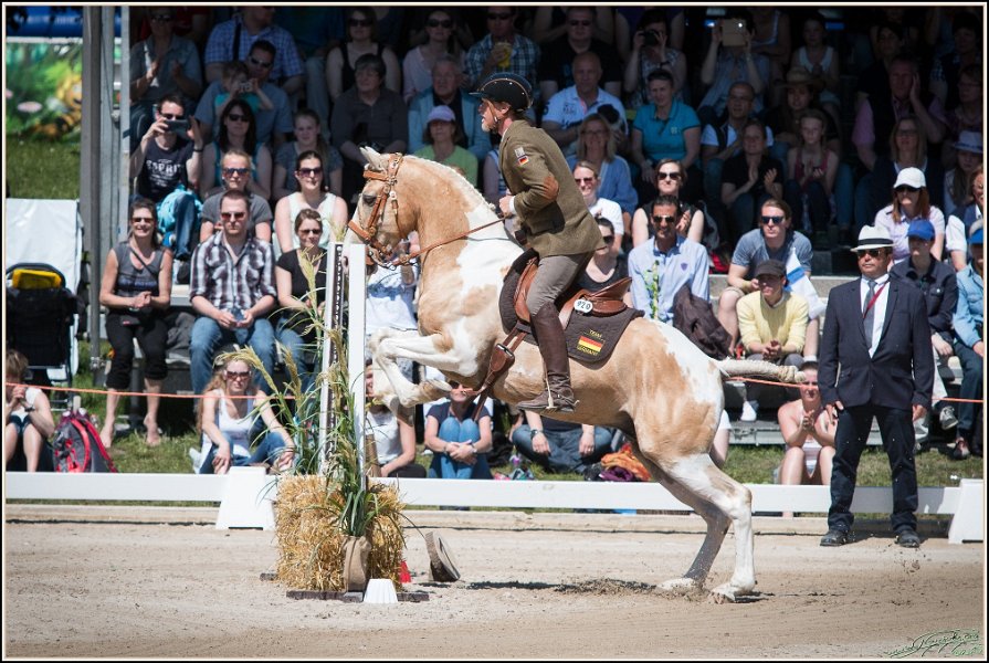 Pferd International 127